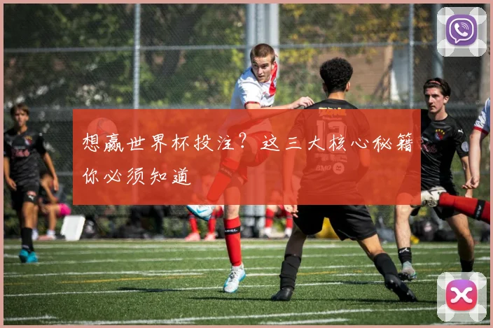 想赢世界杯投注？这三大核心秘籍你必须知道