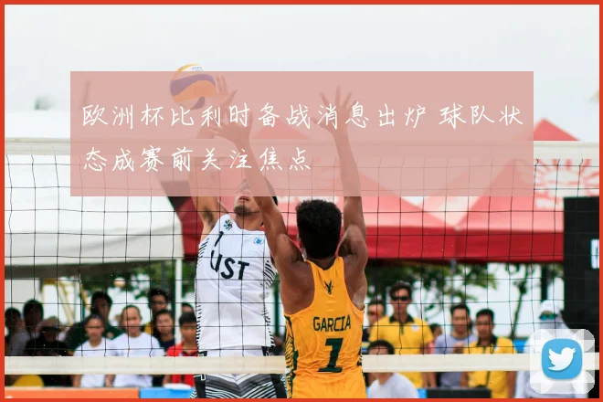 欧洲杯比利时备战消息出炉 球队状态成赛前关注焦点