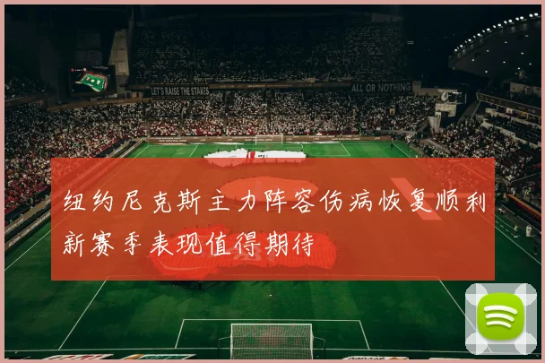 纽约尼克斯主力阵容伤病恢复顺利新赛季表现值得期待