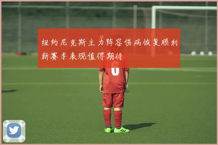 纽约尼克斯主力阵容伤病恢复顺利新赛季表现值得期待