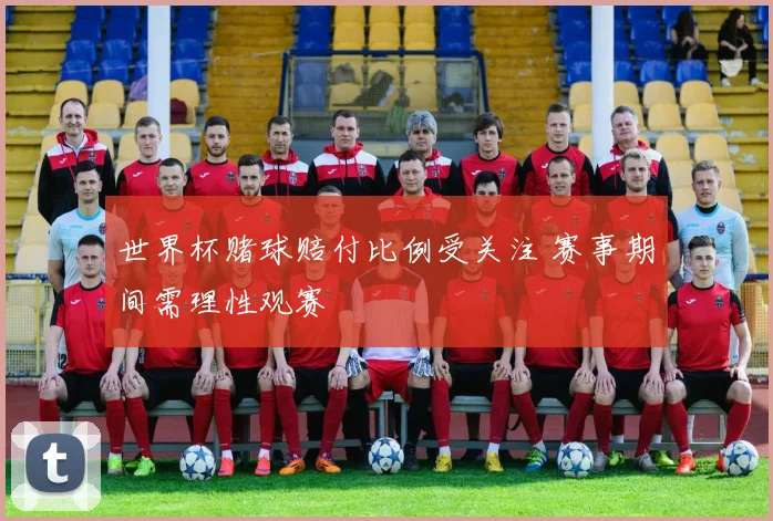 世界杯赌球赔付比例受关注 赛事期间需理性观赛