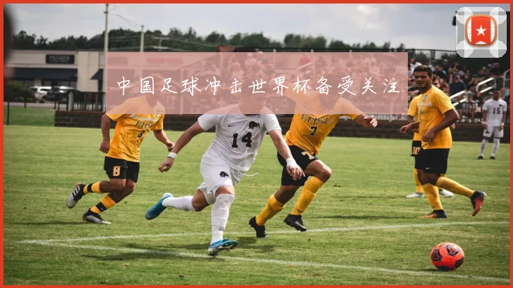 中国足球冲击世界杯备受关注