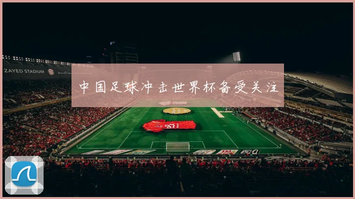 中国足球冲击世界杯备受关注