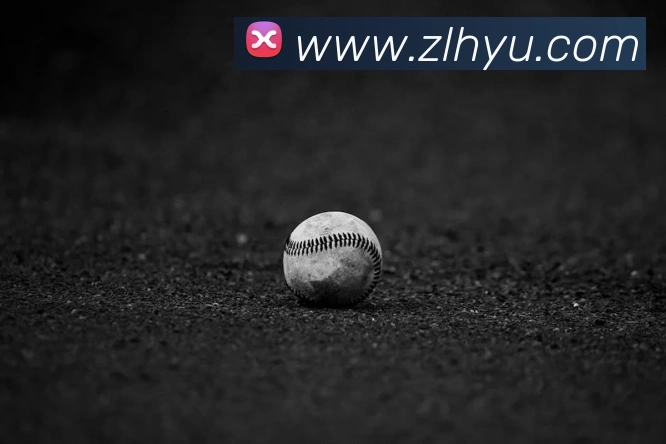 米兰网官网登录入口APP 封面图